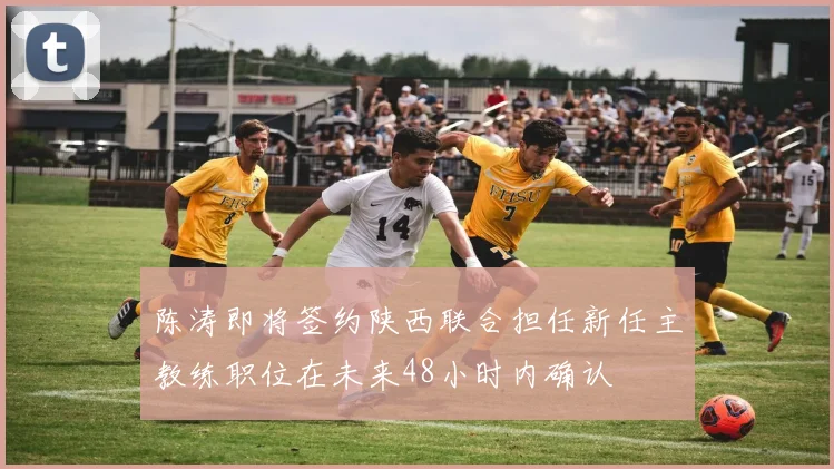 陈涛即将签约陕西联合担任新任主教练职位在未来48小时内确认