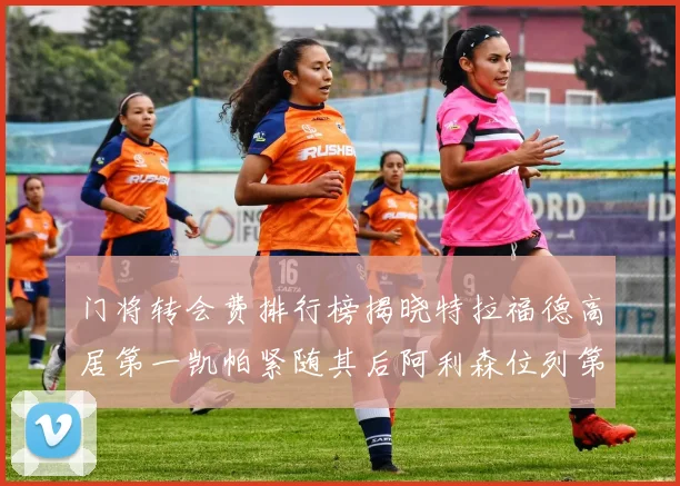 门将转会费排行榜揭晓特拉福德高居第一凯帕紧随其后阿利森位列第三